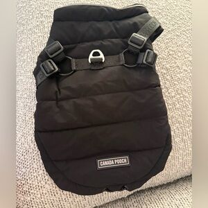 Small dog jacket with harness